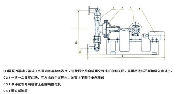 XDBY电动隔膜泵原理图